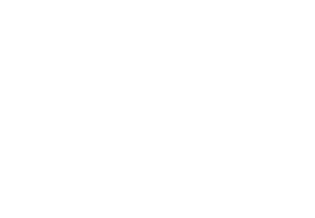 Brothaus GmbH